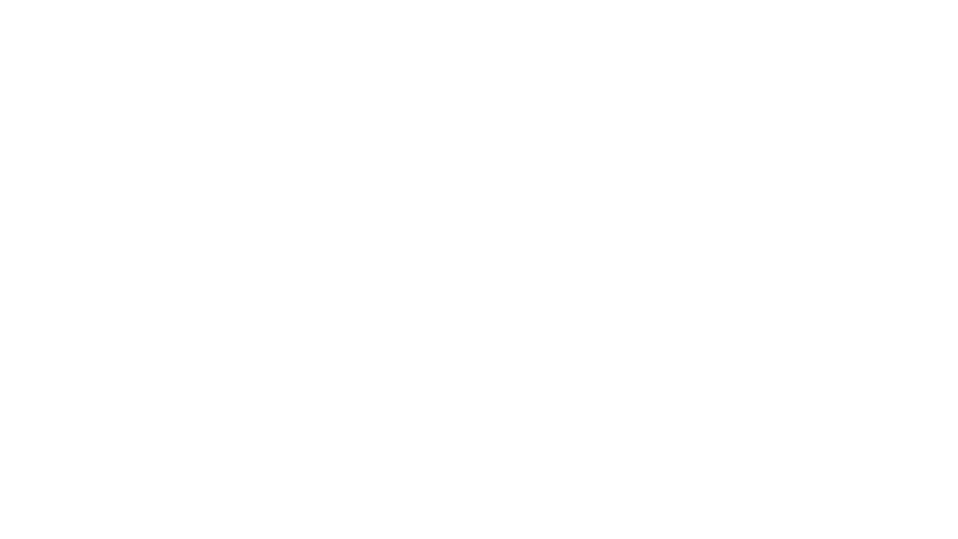 Vuzix Logo