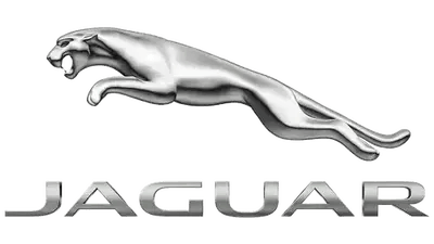 jaguar-1-1-1