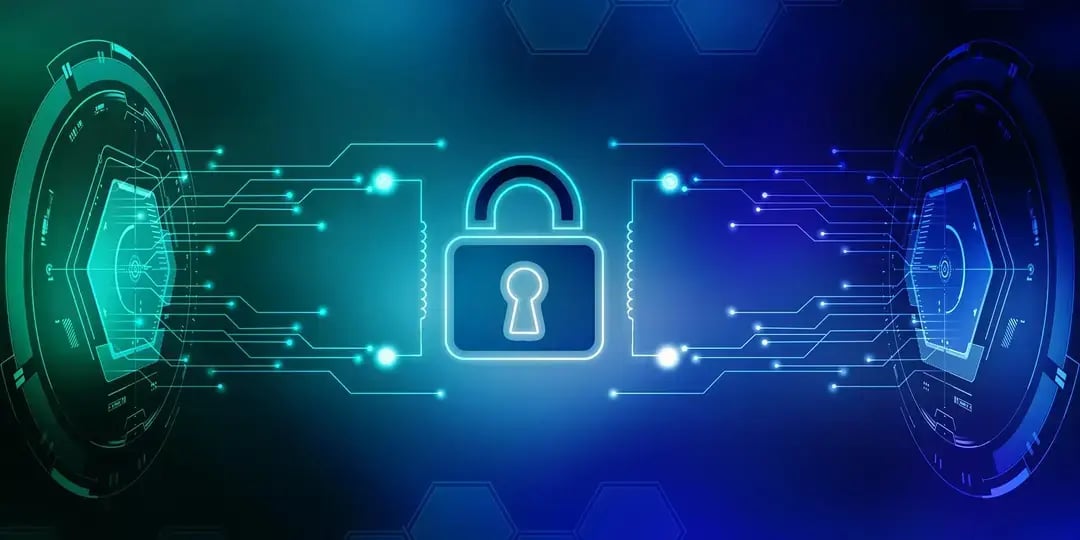 Privacy and Security in AI